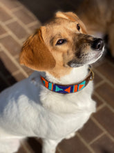 Load image into Gallery viewer, Beaded Dog Collar (Large &amp; Wide)
